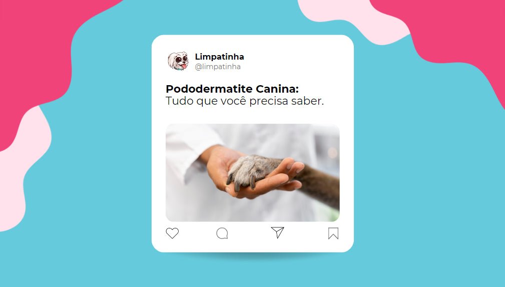 Pododermatite Pododermatite Canina: O que você precisa saber! - Limpatinha