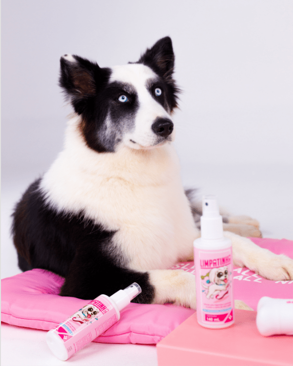 Compre 1 e Leve 2: Limpatinha - Limpatinha